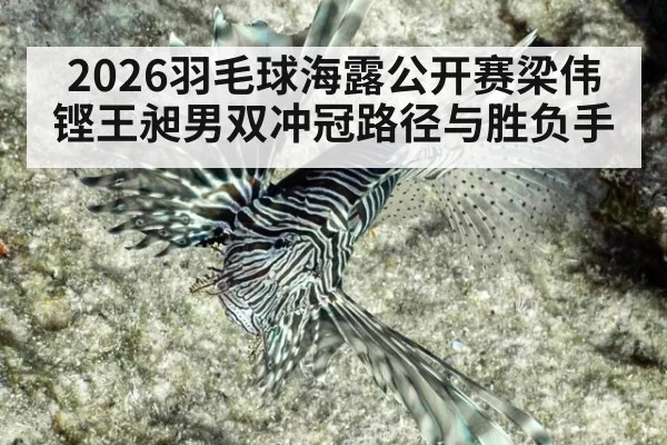 2026羽毛球海露公开赛梁伟铿王昶男双冲冠路径与胜负手